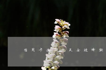 信用卡逾期十天会被降额吗
