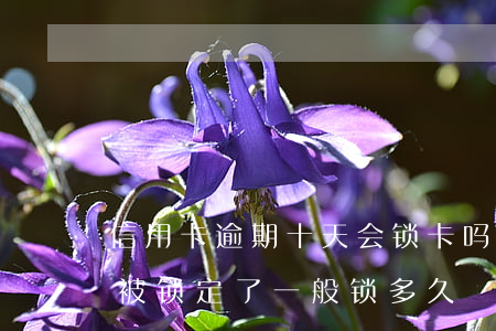 信用卡逾期十天会锁卡吗(信用卡逾期,储蓄卡被锁定了,一般锁多久)