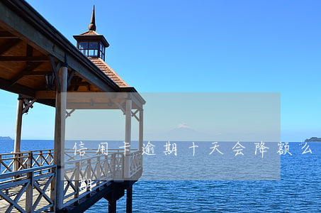 信用卡逾期十天会降额么(信用卡10几天逾期)