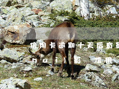 信用卡逾期十天后有影響嗎(逾期10天會(huì)影響信用嗎)
