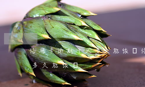 信用卡逾期十天多久能恢復(信用卡逾期十天多久能恢復)