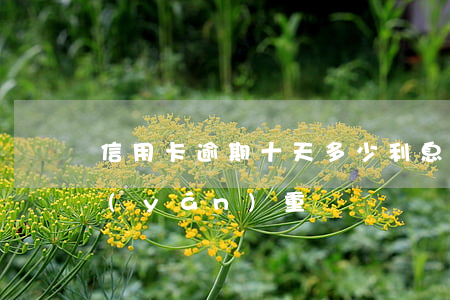 信用卡逾期十天多少利息(信用卡逾期十天嚴(yán)重嗎)