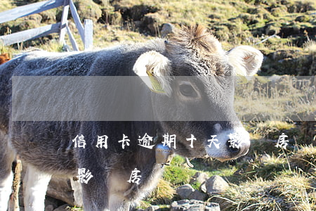 信用卡逾期十天影響房貸嗎(信用卡逾期十天影響房貸嗎)