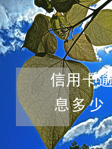 信用卡逾期十天怎么算利息(房貸逾期十天利息多少)