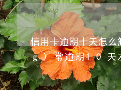 信用卡逾期十天怎么解決(信用卡經(jīng)常逾期10天左右怎么辦)