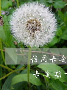 信用卡逾期十天會(huì)上征信嗎(信用卡逾期十天會(huì)上征信嗎電話)