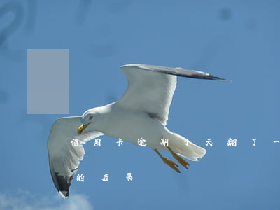 信用卡逾期十天翻了一倍(信用卡逾期一百天的后果)