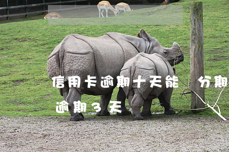 信用卡逾期十天能辦分期嗎(信用卡10塊錢逾期3天)