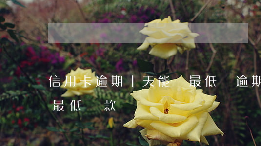 信用卡逾期十天能還最低嗎(逾期10天還能最低還款嗎)
