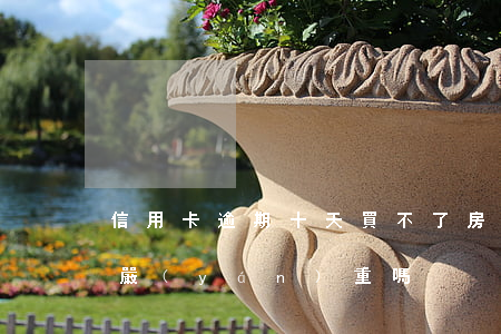 信用卡逾期十天買不了房(信用卡逾期十二天嚴(yán)重嗎)