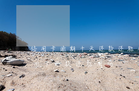 信用卡逾期十天还款还能用吗 逾期严重的信用卡还款还能用吗