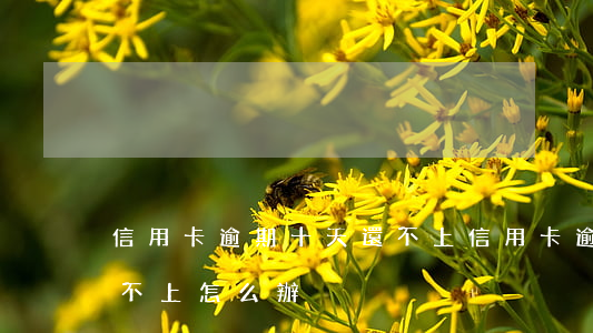 信用卡逾期十天還不上(信用卡逾期10萬還不上怎么辦)