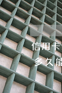 信用卡逾期十天還了-信用卡逾期十天還了多久能正常使用