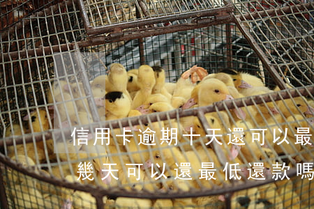 信用卡逾期十天還可以最低還款嗎(銀行逾期幾天可以還最低還款嗎)