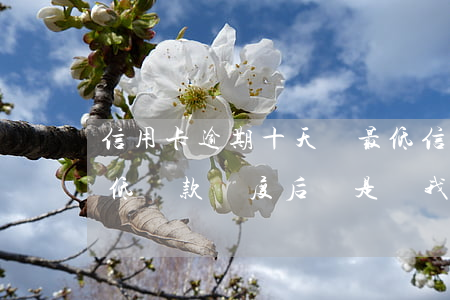 信用卡逾期十天還最低(信用卡逾期十天還最低還款額度后還是說我逾期)