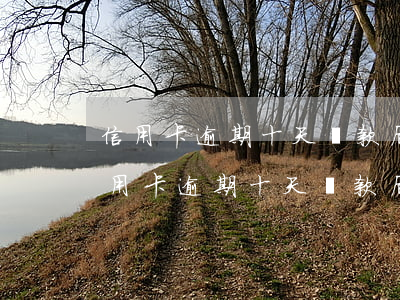 信用卡逾期十天還款后還可以刷出來嗎-信用卡逾期十天還款后還可以刷出來嗎安全嗎