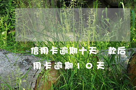 信用卡逾期十天還款后還可以嗎-忘記還信用卡逾期10天