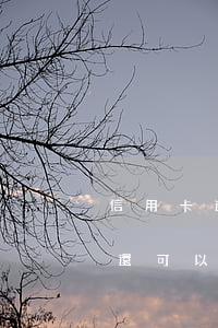 信用卡逾期十天還能用嗎(信用卡逾期十幾天還可以用嗎)