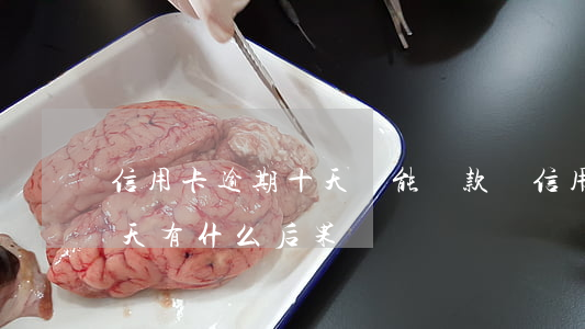 信用卡逾期十天還能貸款嗎 信用貸款逾期十天有什么后果