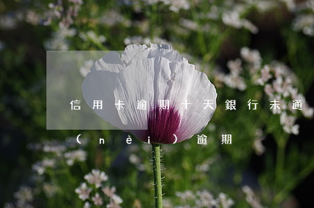 信用卡逾期十天銀行未通知(信用卡90天內(nèi)逾期)