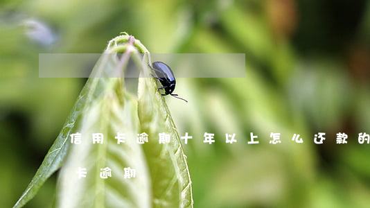 信用卡逾期十年以上怎么还款的(十年前信用卡逾期)