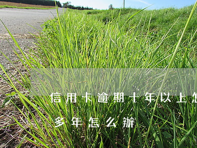 信用卡逾期十年以上怎么還款(信用卡逾期十多年怎么辦)