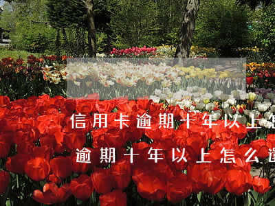信用卡逾期十年以上怎么還款合適-信用卡逾期十年以上怎么還款合適呢
