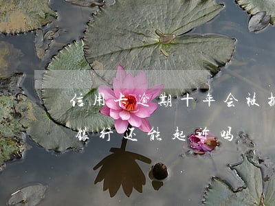 信用卡逾期十年会被抓吗(信用卡逾期十年了银行还能起诉吗)