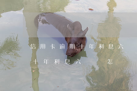 信用卡逾期十年利息六萬會怎樣 信用卡逾期十年利息六萬會怎樣