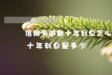 信用卡逾期十年利息怎么算(2千信用卡逾期十年利息是多少)