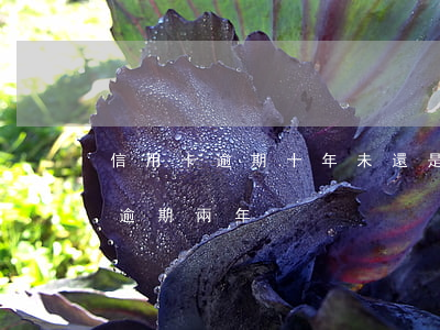 信用卡逾期十年未還是怎樣(欠信用卡10萬逾期兩年)