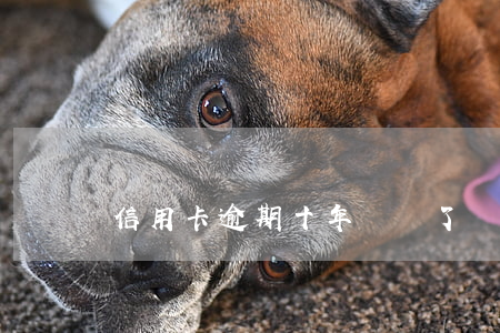 信用卡逾期十年錢還了
