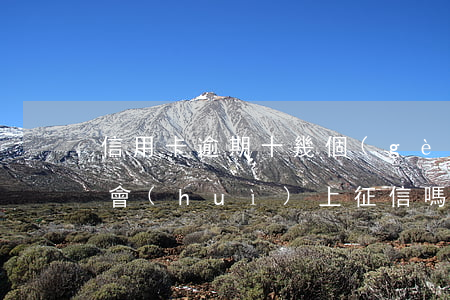 信用卡逾期十幾個(gè)小時(shí)會(huì)上征信嗎-信用卡逾期十幾個(gè)小時(shí)會(huì)上征信嗎知乎