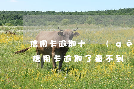 信用卡逾期十幾個(gè)月沒有賬單(我的信用卡逾期了,查不到賬單了)