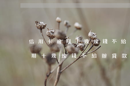 信用卡逾期十幾塊錢不給辦貸款-信用卡逾期十幾塊錢不給辦貸款怎么辦