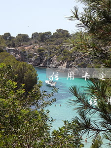 信用卡逾期十幾天凍結(jié)了還能用嗎-信用卡逾期十幾天凍結(jié)了還能用嗎怎么辦