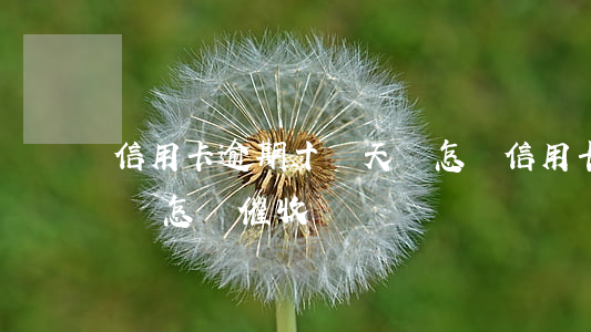 信用卡逾期十幾天會怎樣(信用卡逾期十幾天會怎樣催收)