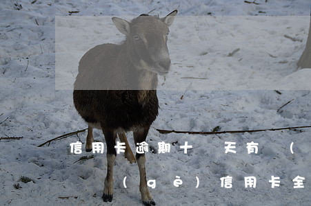 信用卡逾期十幾天有關(guān)系嗎(十幾個(gè)信用卡全部逾期了)