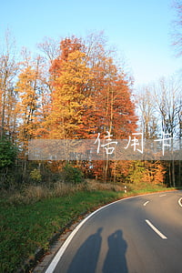 信用卡逾期十幾天被凍結(jié)了