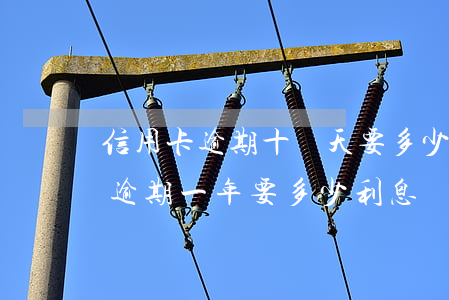 信用卡逾期十幾天要多少利息(十萬元信用卡逾期一年要多少利息)
