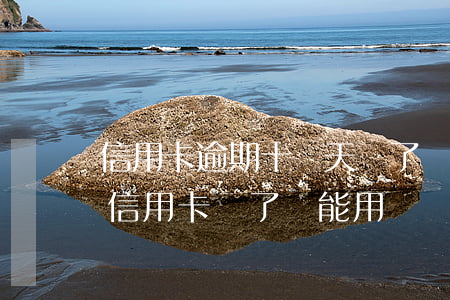 信用卡逾期十幾天還了還能用嗎(逾期幾年的信用卡還了還能用嗎)