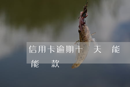 信用卡逾期十幾天還能貸款(有信用卡逾期還能貸款嗎)