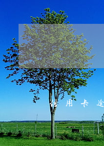 信用卡逾期十幾次影響貸款嗎