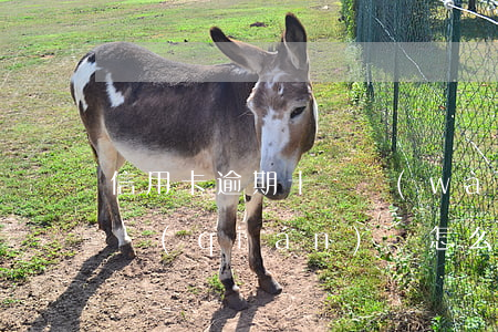 信用卡逾期十幾萬(wàn)沒(méi)錢(qián)還怎么解決-信用卡逾期十幾萬(wàn)沒(méi)錢(qián)還怎么解決呢