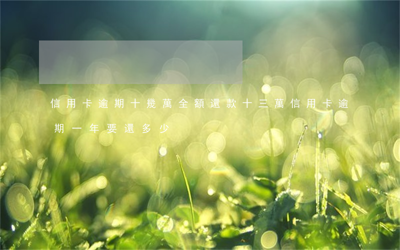 信用卡逾期十幾萬全額還款(十三萬信用卡逾期一年要還多少)