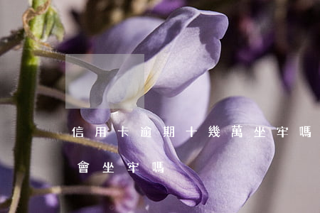 信用卡逾期十幾萬坐牢嗎(信用卡逾期幾十萬會坐牢嗎)