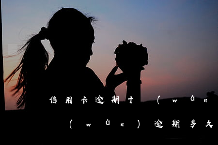 信用卡逾期十萬(wàn)不還(信用卡10萬(wàn)逾期多久會(huì)被起訴)