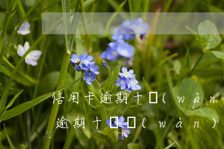 信用卡逾期十萬(wàn)利息多少(信用卡逾期十幾萬(wàn)是什么后果)