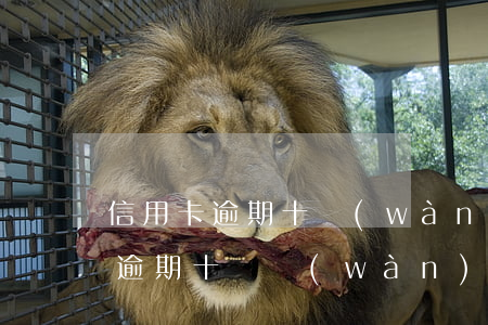 信用卡逾期十萬(wàn)要坐牢嗎(信用卡逾期十幾萬(wàn)是什么后果)