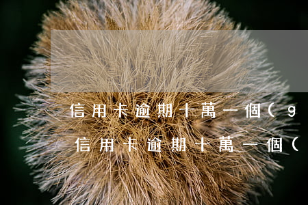 信用卡逾期十萬一個(gè)月利息多少-信用卡逾期十萬一個(gè)月利息多少錢